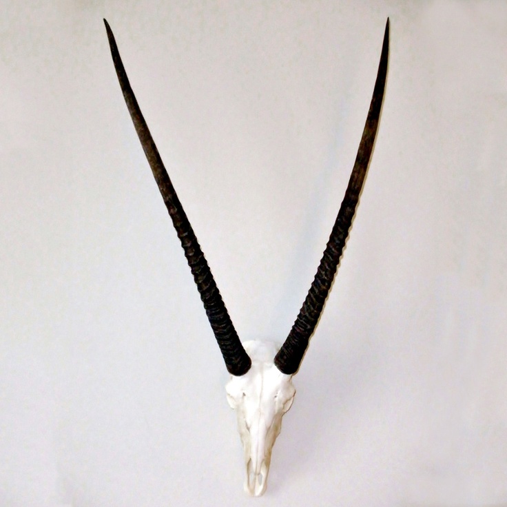 28f355778db464437ea02708219e254b