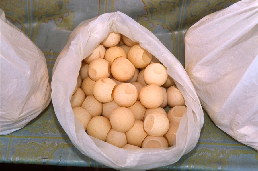 East Kalimantan (K. Timur), Kalimantan (Indonesian Borneo), Indonesia