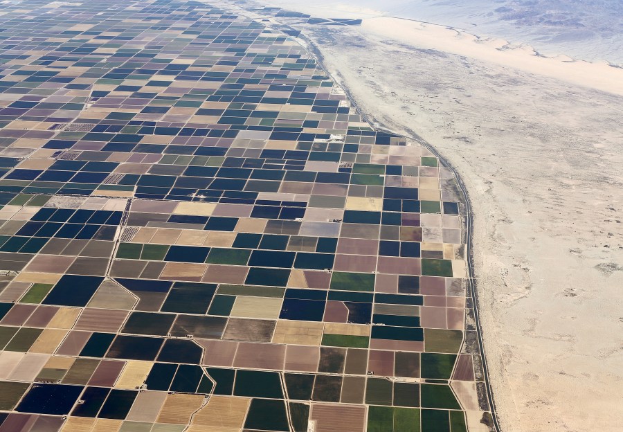 Agricultural farm land is shown next to the desert in the Imperial valley near El Centro, California May 31, 2015. California is enduring its worst drought on record. REUTERS/Mike Blake TPX IMAGES OF THE DAY - RTR4Y9V5