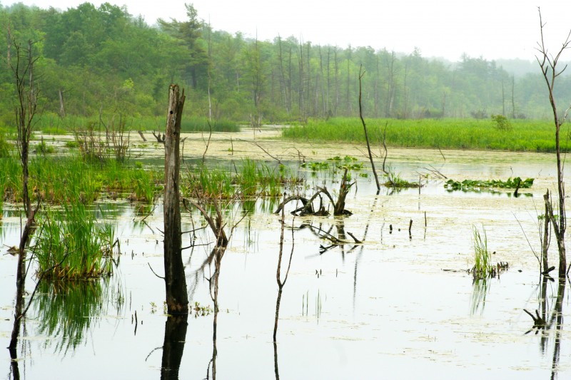 Protected-Lands-2-e1338686862512