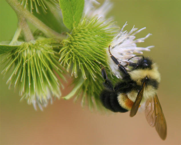 7742237168_e2d85e48a4_o