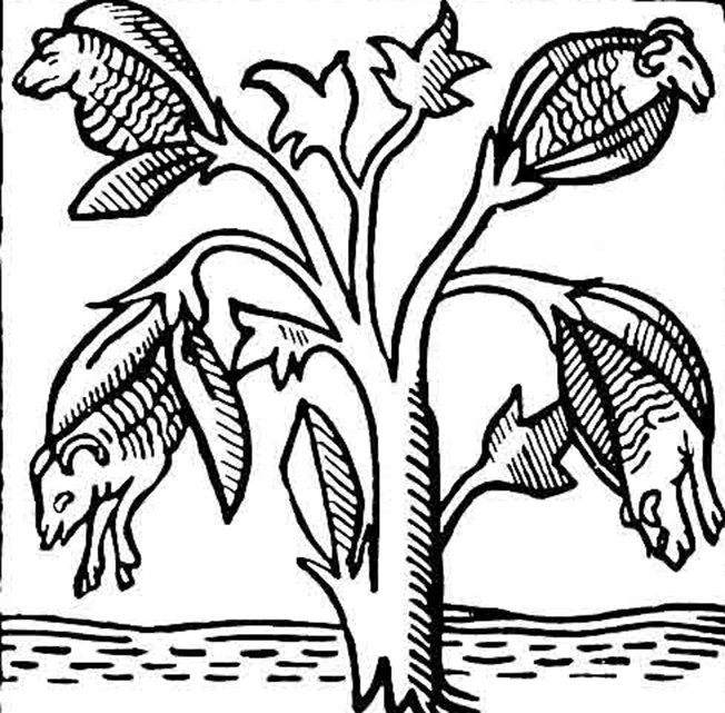 tree-lamb