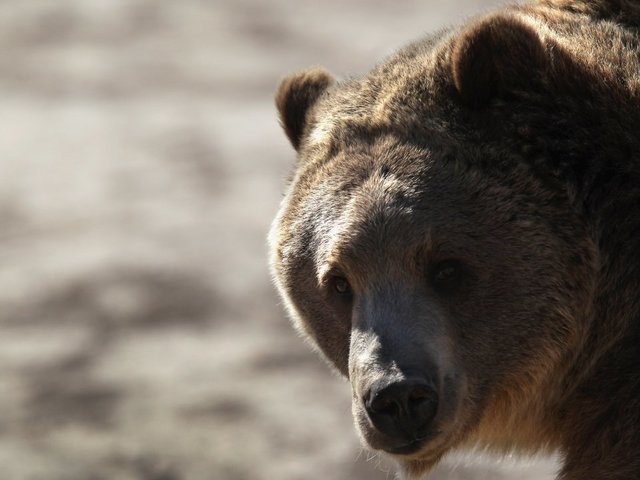 1535728062_96252117_ver1.0_640_480