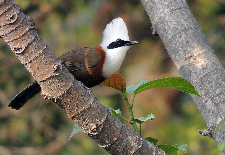 34020474541_fd2345db06_b