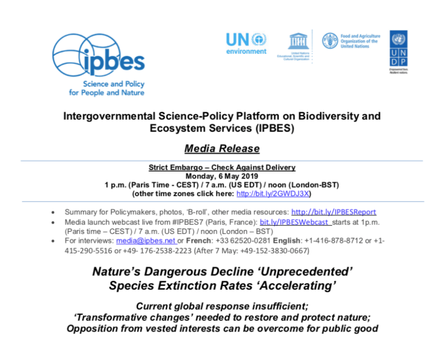 Screen Shot 2019-05-07 at 2.33.09 AM