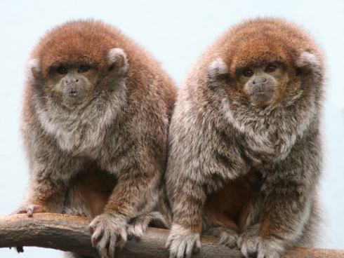 60159_10151088882008325_1276055316_n-1