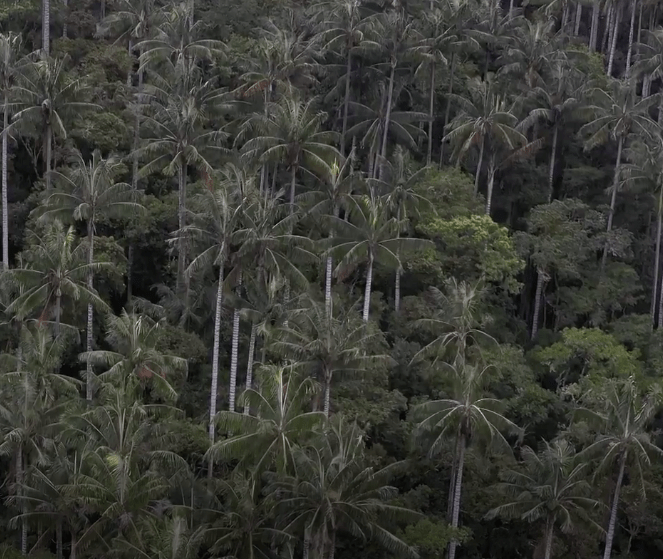 Screen Shot 2019-11-05 at 2.54.49 PM