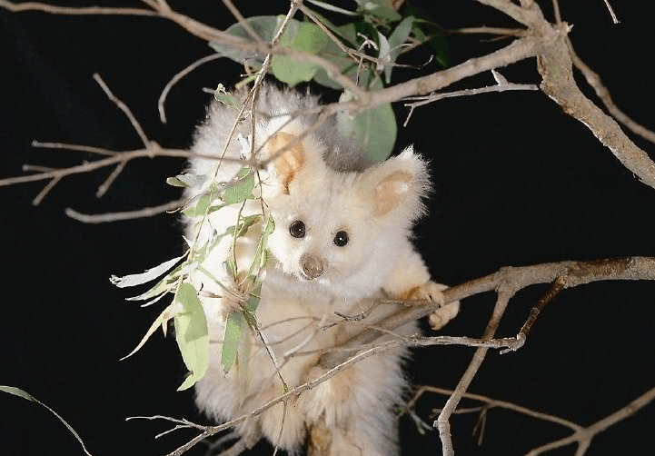 Screen Shot 2020-01-07 at 11.18.31 AM